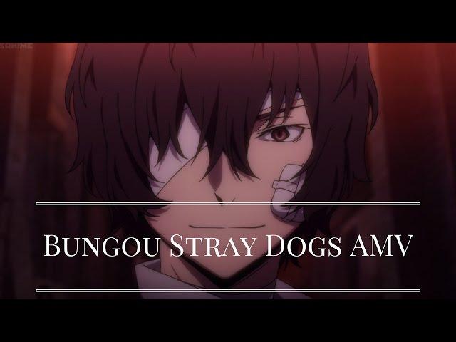 Bungou Stray Dogs AMV -  Reason Living by SCREEN mode