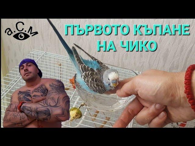 ПЪРВОТО КЪПАНЕ НА ЧИКО   а.С.м