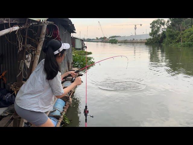 Câu Cá Thiên Nhiên Sông Đồng Nai | Câu Cá Chép Mùa Mưa | Mây Fishing