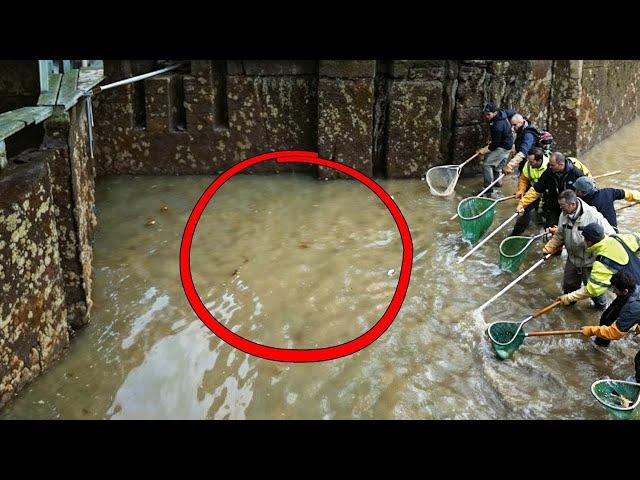 They Drained This 200 Year Old Canal. What They Found at the Bottom Was Incredible