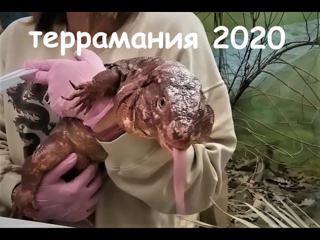 Террамания 2020