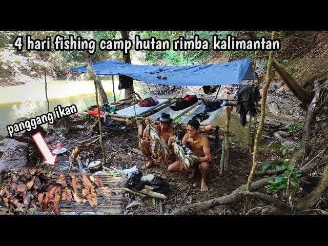 petualangan fishing camp di hutan rimba kalimantan yang masih asri ikan melimpah