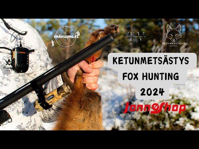 KETUNMETSÄSTYS / FOX HUNTING, Venäjänajokoiralla / Russkaya gonchaya / Russian Hound