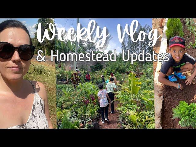 Making the Homestead Even Better! || Car Shade is Finished || Planting Trees || VLOG