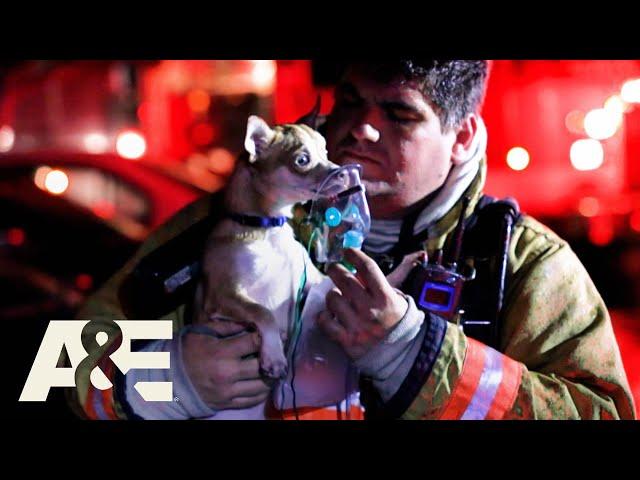 Nightwatch: Top 4 STRANGEST Fire Department Calls | A&E