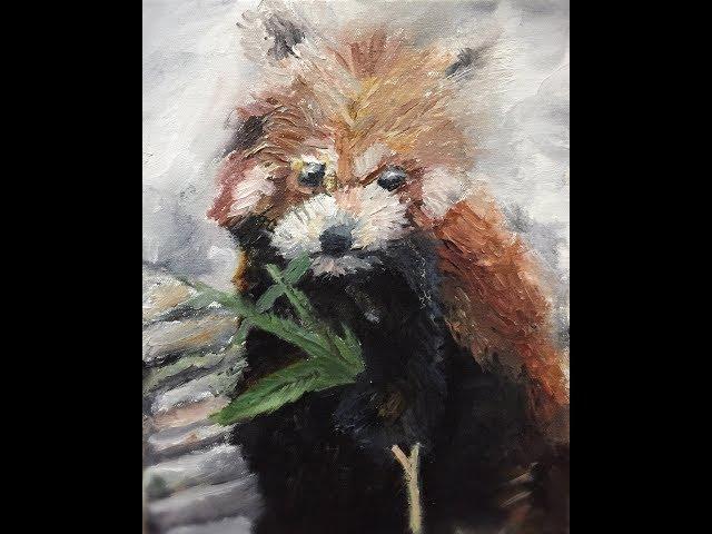 April red panda challenge!!! Sai Manish Gunnala