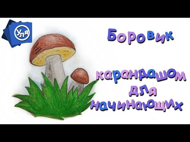 Как нарисовать грибы // Рисунки карандашом для начинающих "Боровик"