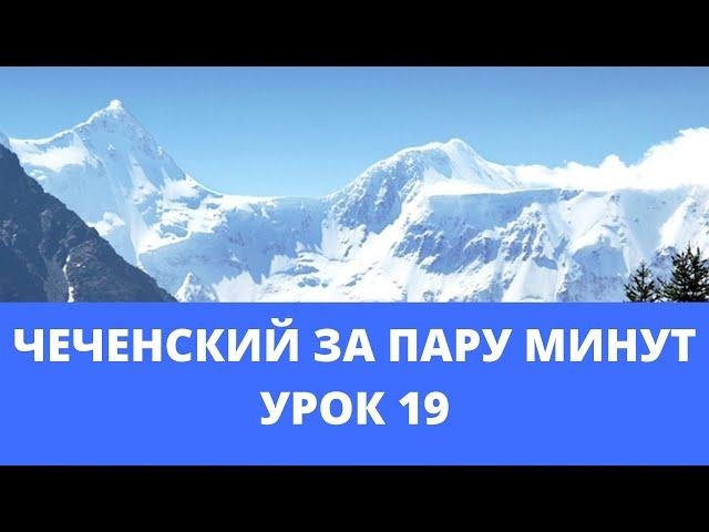 Чеченский язык. Урок 19. "Кхин а ц1ердешнийн легарх лаьцна  (Еще о склонении имен существительных)