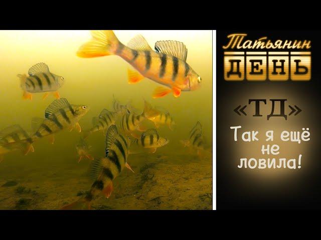 "ТД" Татьянин день. Так я ещё не ловила!