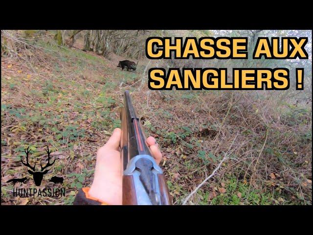 CHASSE AUX SANGLIERS - 2020