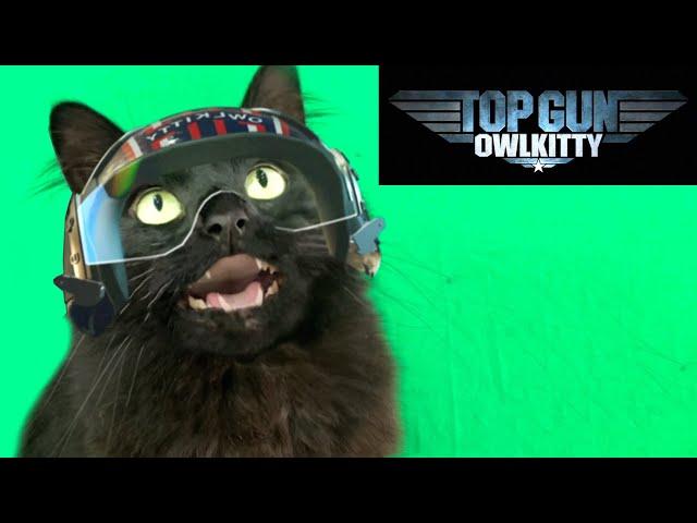 Top Gun with a Cat (Behind the Scenes)