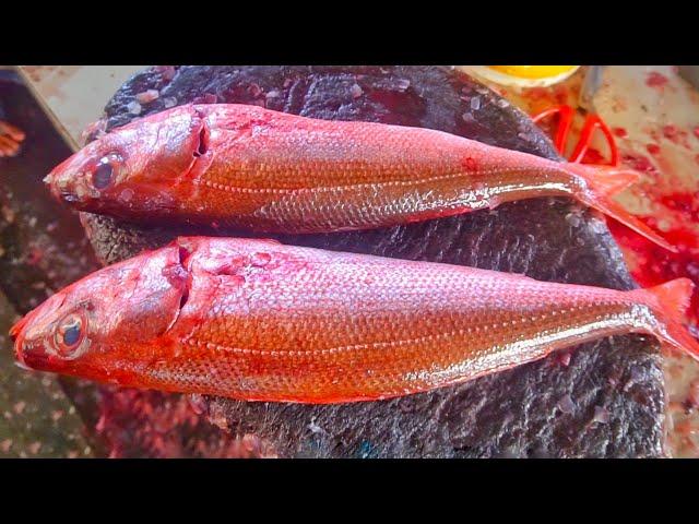 ADMIRABLE 2 RED SNAPPER FISH CUTTING LIVE IN INDONESIA FISH MARKET || FASTEST CUTTING CUTTER