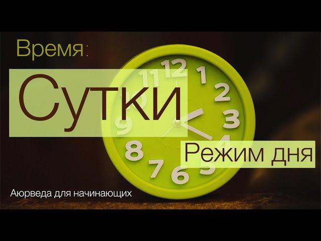 Время: сутки. Аюрведа для начинающих.