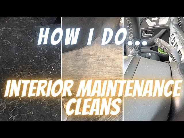 How to quickly clean your cars interior