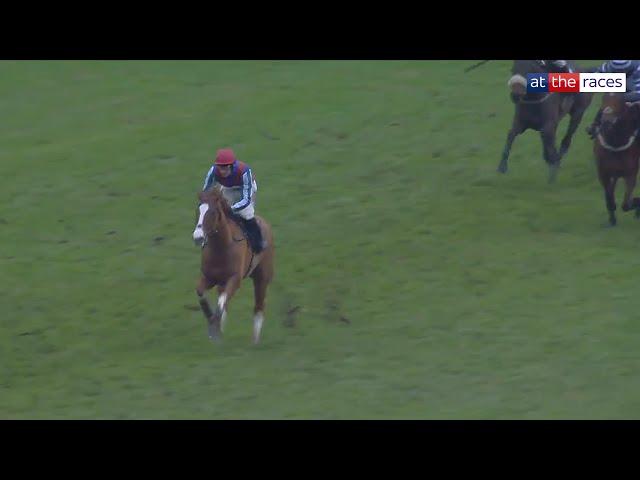 Wow! WINDBENEATHMYWINGS new Champion Bumper favourite after Ascot demolition