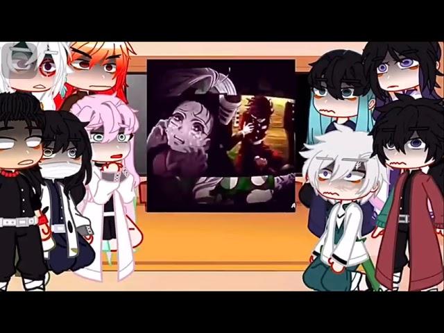 Hashiras react to ||Compilacion||Tanjirou and Nezuko|| manga  spoiler|| and 