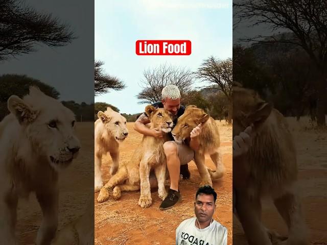 Lion Food #shorts #animals #youtubeshorts