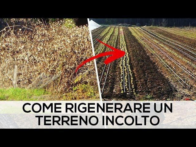 Ep.5 How we built a marketgarden from scratch - Progetto Agricolo Entroterra small scale farming