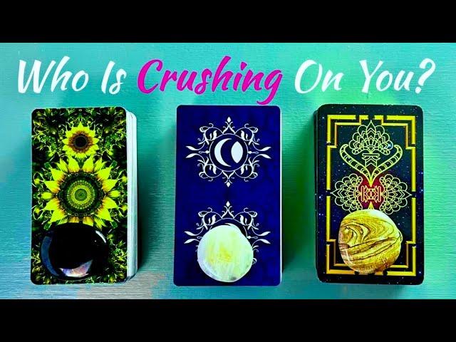 Love Pick A Card Who Has A Big Crush On You 