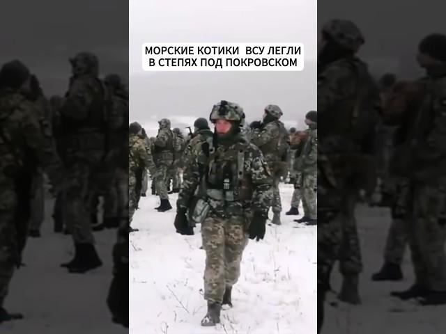 Лондон в ярости. На Донбассе пропали три элитных отряда ГУР Украины #новости #всу #украина #донбасс