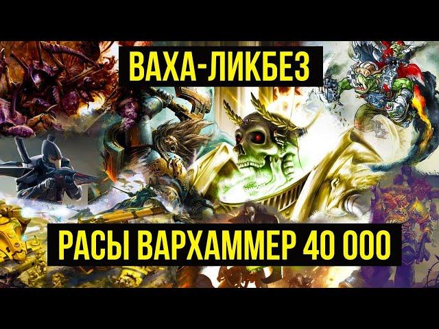 Расы Warhammer 40000. Ваха-ликбез. Ork-FM @Gexodrom