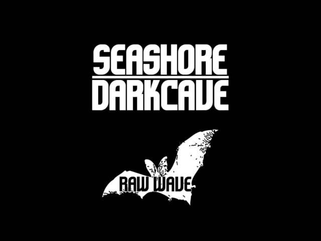 Seashore Darkcave - Myotis Vivesi