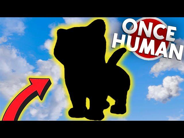 PLÖTZLICH TRAUM MUTATION.. ihr werdet es nicht glauben Once Human Deutsch #13 | 4K | Katze