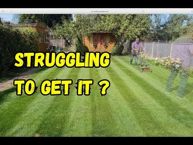 lawn care really can be simple just get the basics down