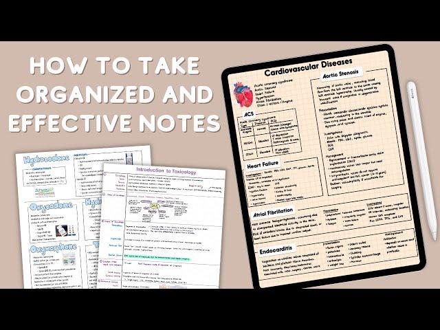 How to Take Organized and Effective Notes + Study Tips | Studymas 2020