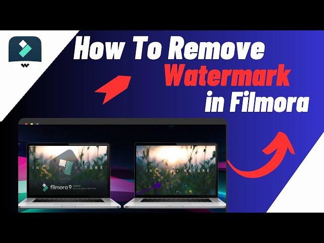 How To Remove Watermark/Logo From Video In Filmora - 3 EASY METHODS