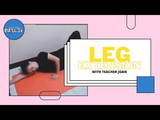 LEG EXERCISES with Teacher Joan