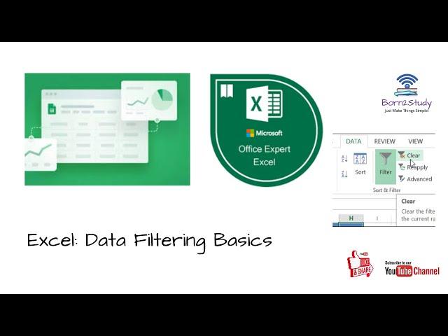 Data Filtering in Excel