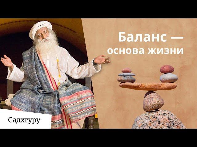 Жизнь сводит с ума? Как обрести баланс — Садхгуру