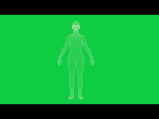 Wireframe Green Screen: Rotating Male and Female | Futuristic Visuals