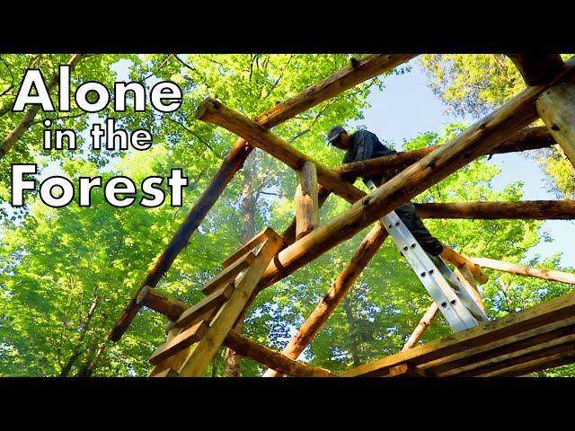 Timelapse Timber Frame by One Man in the Wilderness