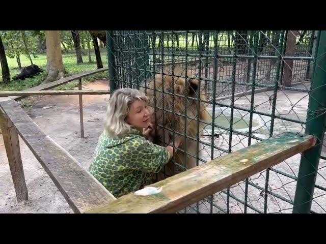 Заключительная часть предыдущего видео Ю. Агаевой из Инстаграм. Обращение к Далакяну.