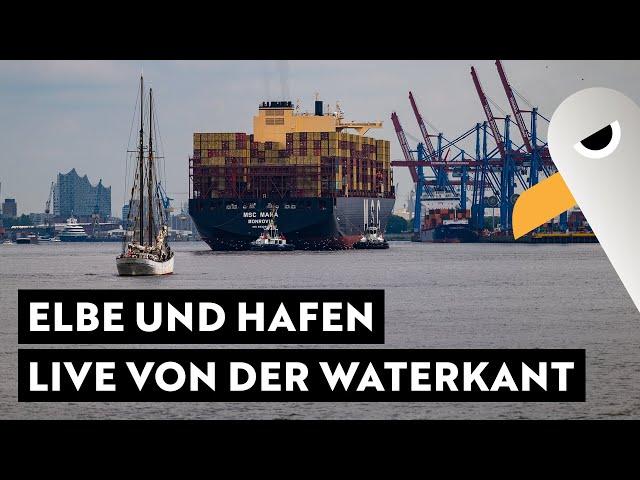 Elbe und Hafen-Flair live von der Waterkant   Das Treiben im Hamburger Hafen