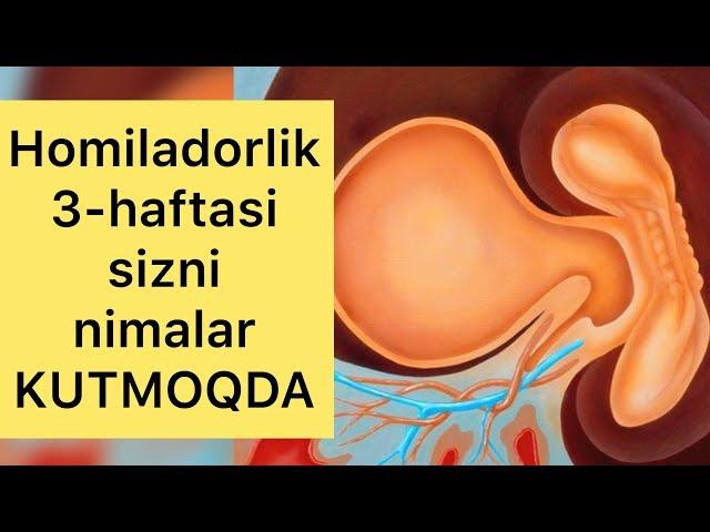 Bolajoningiz 3 haftaligida sizni nimalar kutyapti