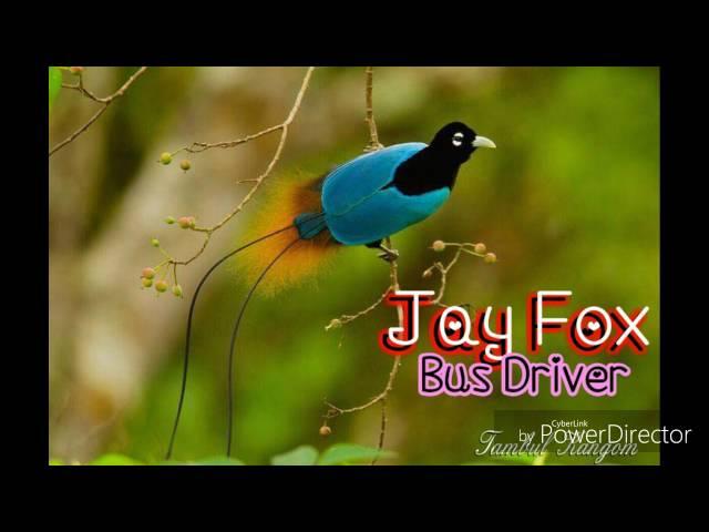 Jay Fox - Bus Driver -(2016) PNG Music