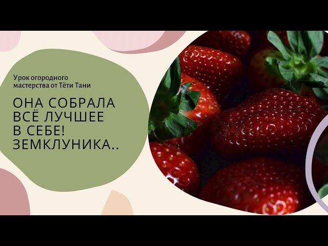 892. Купчиха. Она самая вкусная.