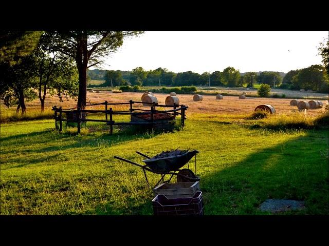 Farm Ambience SFX | Free Sound Effects | Ambient Sounds