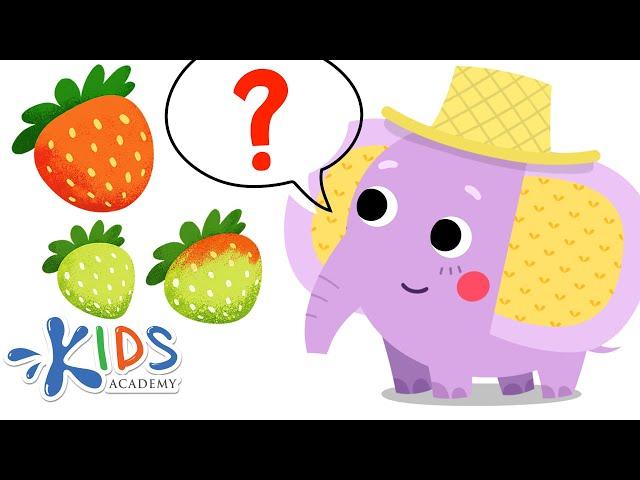 Ordenar por Color y Tamaño | Juegos de Matemática de Preescolar | Kids Academy Español