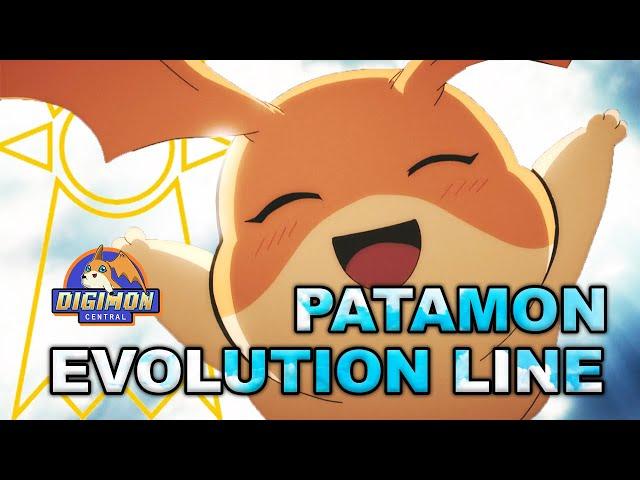 Patamon Evolution Line