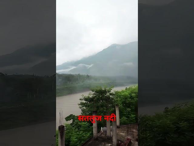 Satluj River View in Sunni district Shimla Himachal Pradesh || Satluj river view #satlujriver #short