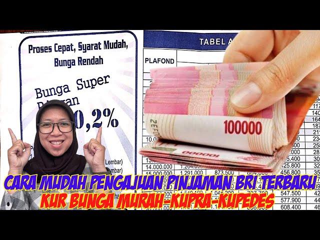 RINCIAN PERSYARATAN PENGAJUAN PINJAMAN KREDIT BANK BRI TAHUN 2024 PINJAMAN ONLINE OFFLINE BANK BRI