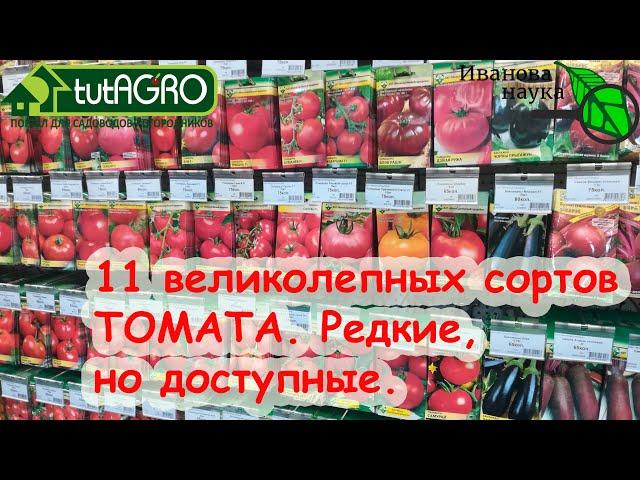 11 надежных томатов ДЛЯ ЛЕНИВЫХ ПОСАДИЛ И ЗАБЫЛ с устойчивостью к кладоспориозу и фитофторе!