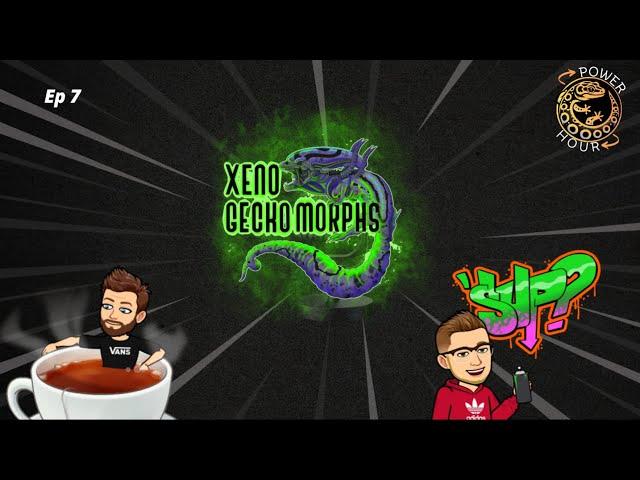 Power Hour 7 - Xeno Gecko Morphs