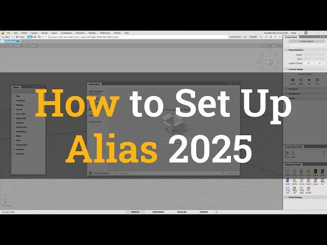 How to Set Up Alias 2025