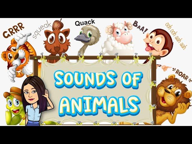 Sounds of Animals | Science | Teacher Beth Class TV