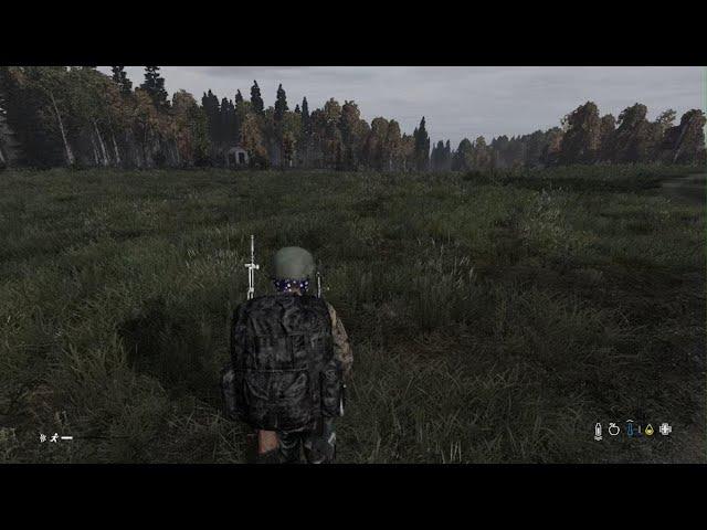 DayZ_Turbz